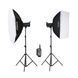 Набір студійних спалахів Godox QS600II Studio Kit з софтбоксоми та стійками 3028011 фото 1