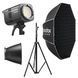 Набір постійного світла Godox LE300Bi Octa Kit для UGC блогу та предметної зйомки 3027345 фото 1