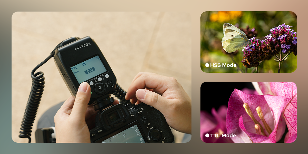 Godox MF-T76